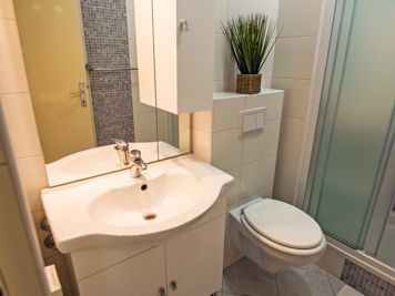 braune Wohnung, modernes Bad, Dusche